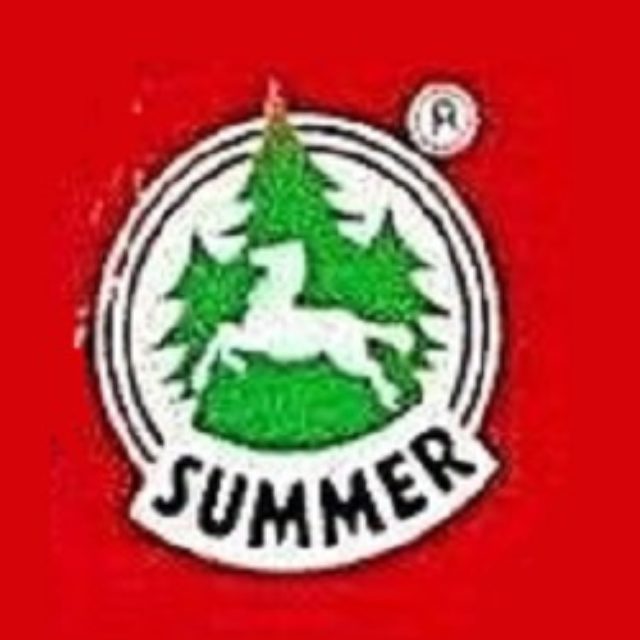 логотип SUMMER